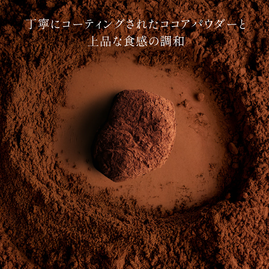 チョコ生わらびもち (2枚)
